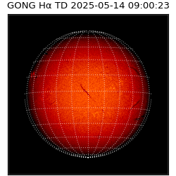 gong - 2025-05-14T09:00:23