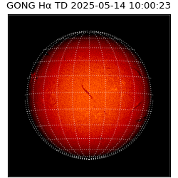 gong - 2025-05-14T10:00:23