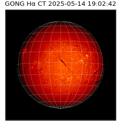 gong - 2025-05-14T19:02:42
