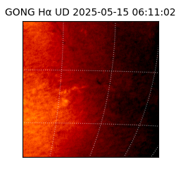 gong - 2025-05-15T06:11:02