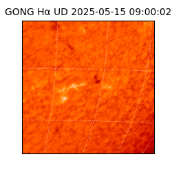 gong - 2025-05-15T09:00:02