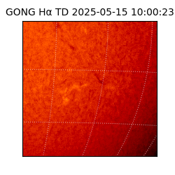 gong - 2025-05-15T10:00:23