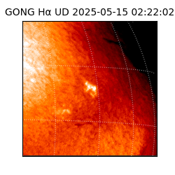 gong - 2025-05-15T02:22:02
