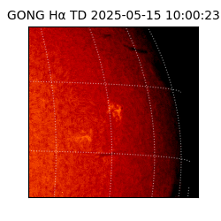 gong - 2025-05-15T10:00:23