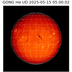 gong - 2025-05-15T05:00:02