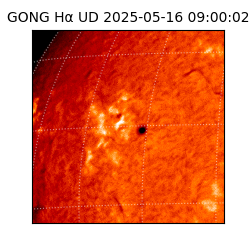 gong - 2025-05-16T09:00:02