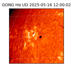 gong - 2025-05-16T12:00:02