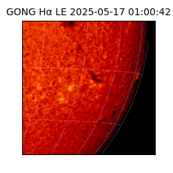 gong - 2025-05-17T01:00:42