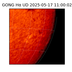 gong - 2025-05-17T11:00:02