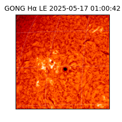 gong - 2025-05-17T01:00:42