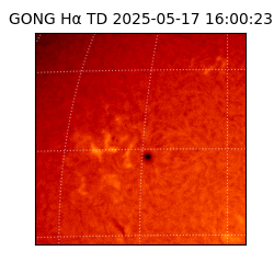 gong - 2025-05-17T16:00:23