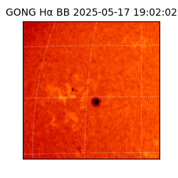 gong - 2025-05-17T19:02:02