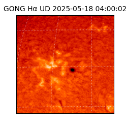 gong - 2025-05-18T04:00:02