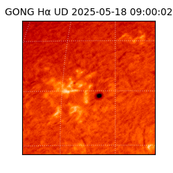 gong - 2025-05-18T09:00:02