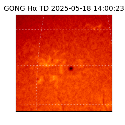 gong - 2025-05-18T14:00:23