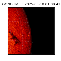 gong - 2025-05-18T01:00:42
