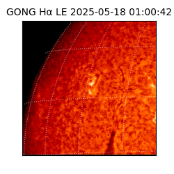 gong - 2025-05-18T01:00:42