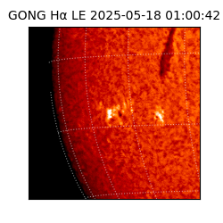 gong - 2025-05-18T01:00:42