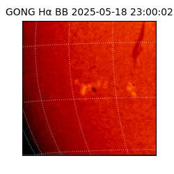 gong - 2025-05-18T23:00:02