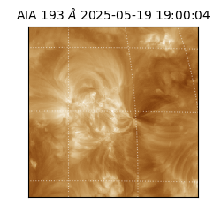 saia - 2025-05-19T19:00:04.843000