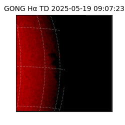 gong - 2025-05-19T09:07:23