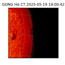 gong - 2025-05-19T19:00:42