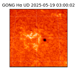 gong - 2025-05-19T03:00:02