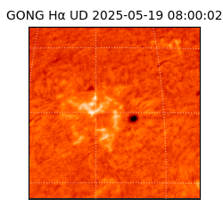 gong - 2025-05-19T08:00:02