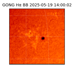 gong - 2025-05-19T14:00:02