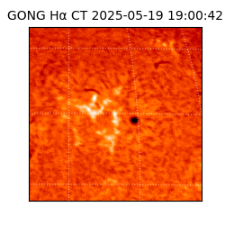 gong - 2025-05-19T19:00:42