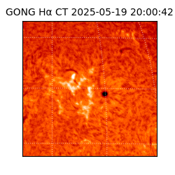 gong - 2025-05-19T20:00:42
