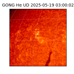 gong - 2025-05-19T03:00:02