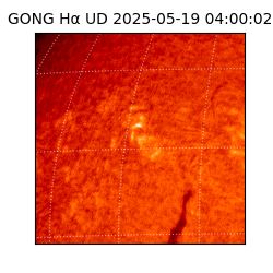 gong - 2025-05-19T04:00:02