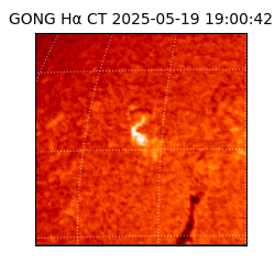 gong - 2025-05-19T19:00:42