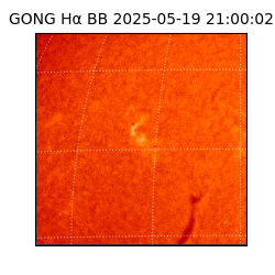 gong - 2025-05-19T21:00:02