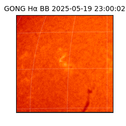 gong - 2025-05-19T23:00:02