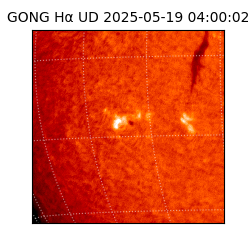 gong - 2025-05-19T04:00:02