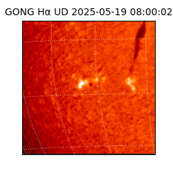 gong - 2025-05-19T08:00:02