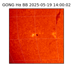 gong - 2025-05-19T14:00:02