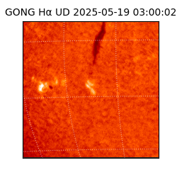 gong - 2025-05-19T03:00:02