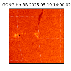 gong - 2025-05-19T14:00:02