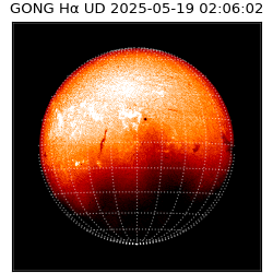 gong - 2025-05-19T02:06:02