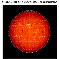 gong - 2025-05-19T03:00:02