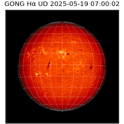 gong - 2025-05-19T07:00:02