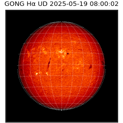 gong - 2025-05-19T08:00:02