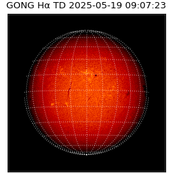 gong - 2025-05-19T09:07:23