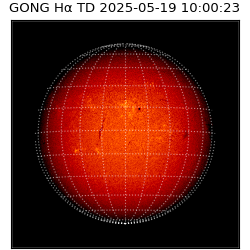 gong - 2025-05-19T10:00:23