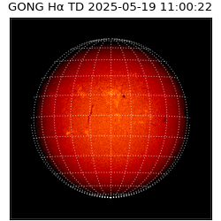 gong - 2025-05-19T11:00:22