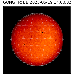 gong - 2025-05-19T14:00:02