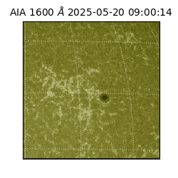 saia - 2025-05-20T09:00:14.125000
